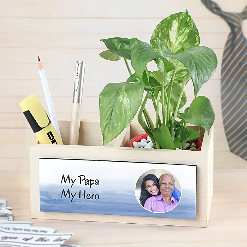 Money Plant For Super Dad