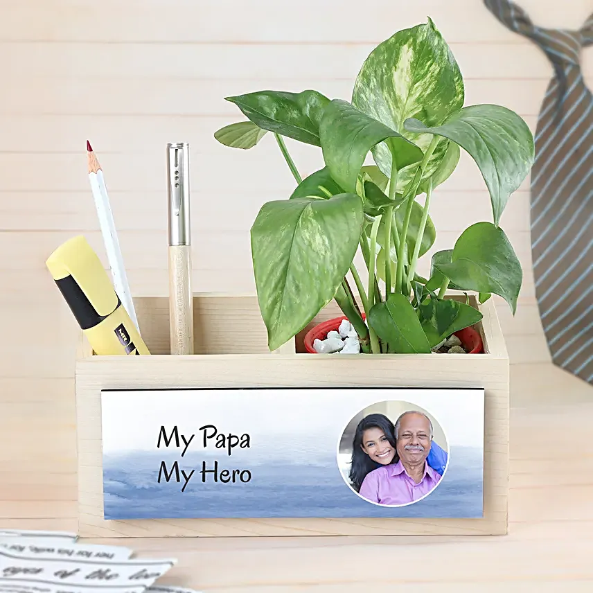 Money Plant For Super Dad