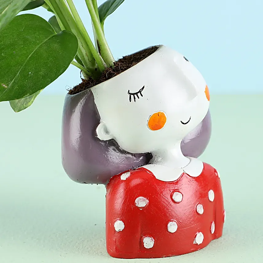 Money Plant in Girl Resin Pot & Cadbury Chocolates