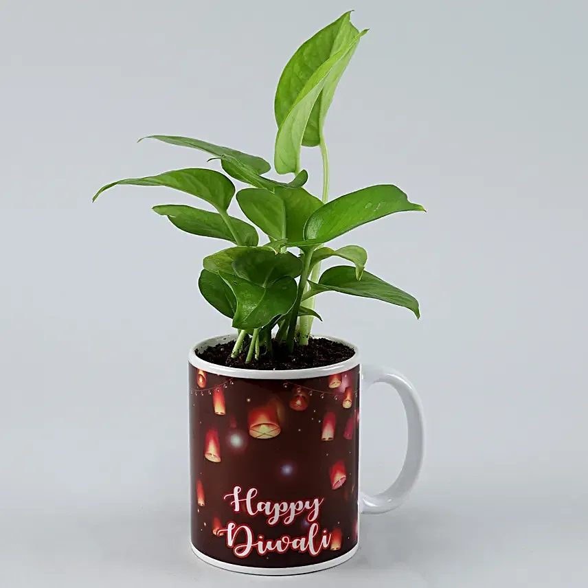 Online Diwali Decor