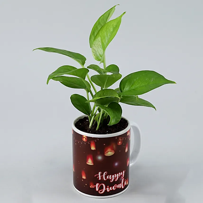 Online Diwali Decor