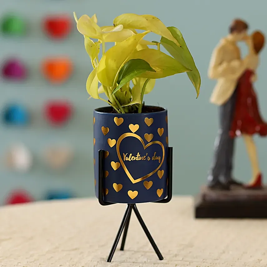 Money Plant in Heart Printed Pot