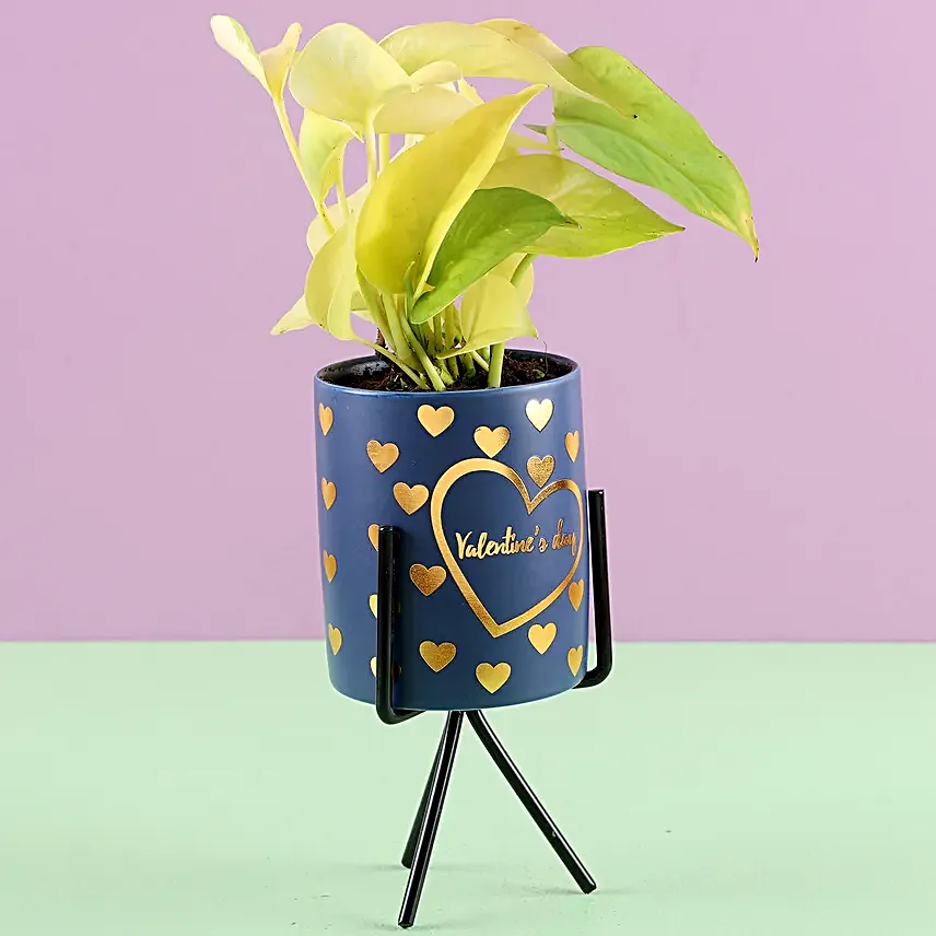 Money Plant in Heart Printed Pot
