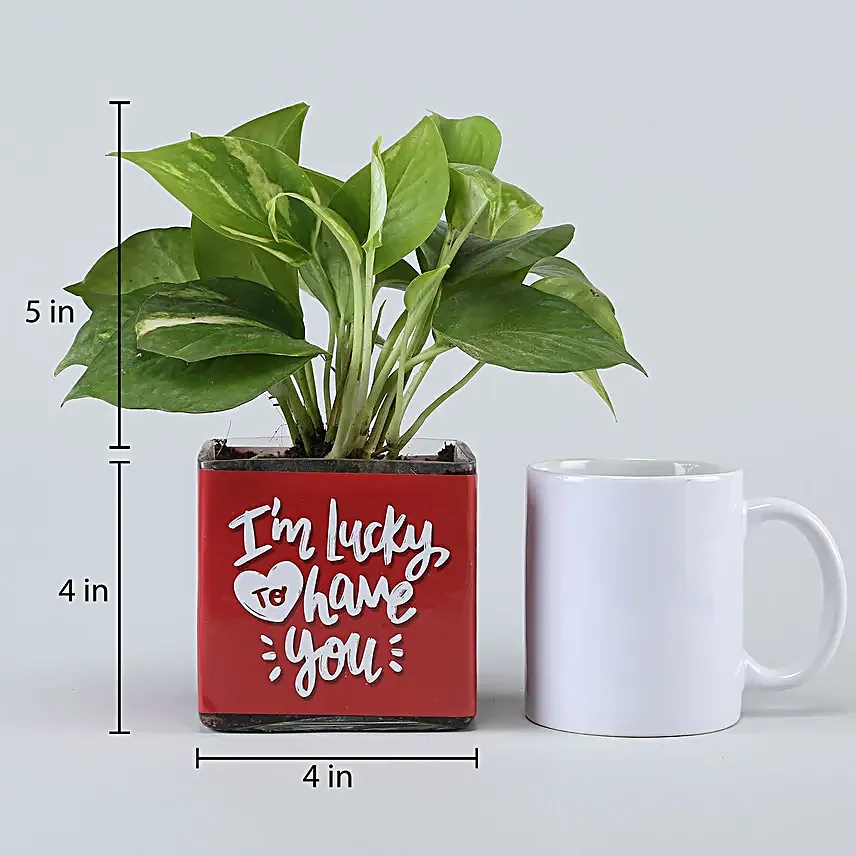 Money Plant In Lucky To Have You Glass Pot