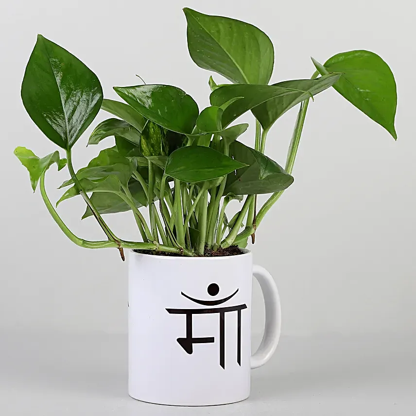 ma printed mug with money plant
