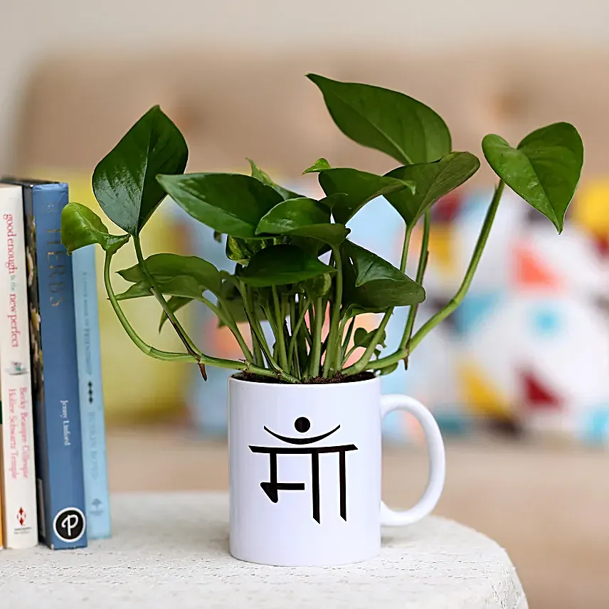 Money Plant In Maa Printed White Mug