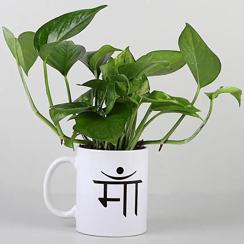 Money Plant In Maa Printed White Mug