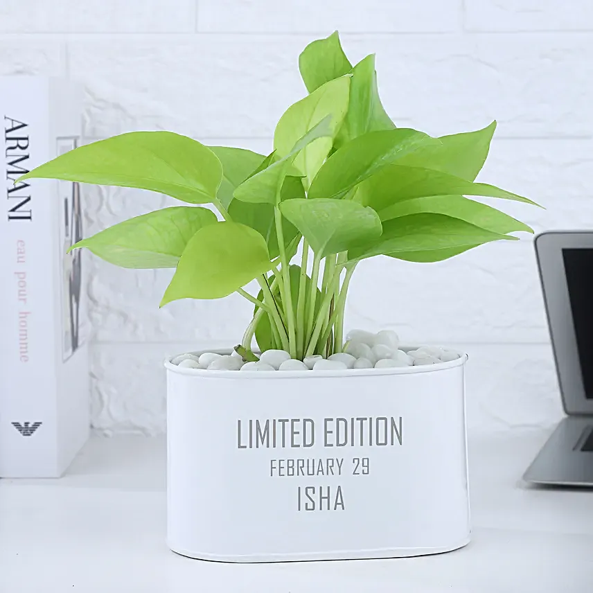 Money Plant In Personalised Limited Edition Pot