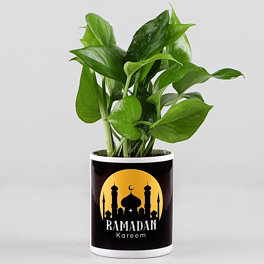 Online Ramadan Money Plant