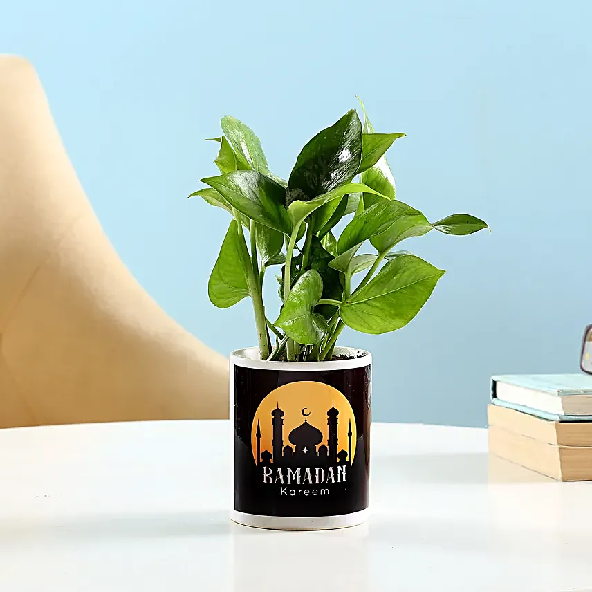 Online Ramadan Money Plant