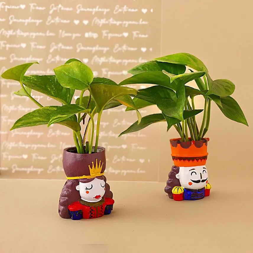 Money Plant King N Queen Pot Set Hand Delivery