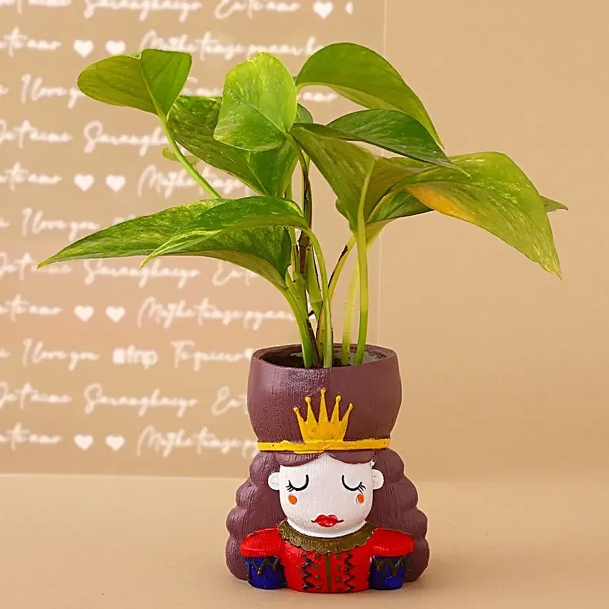Money Plant King N Queen Pot Set Hand Delivery
