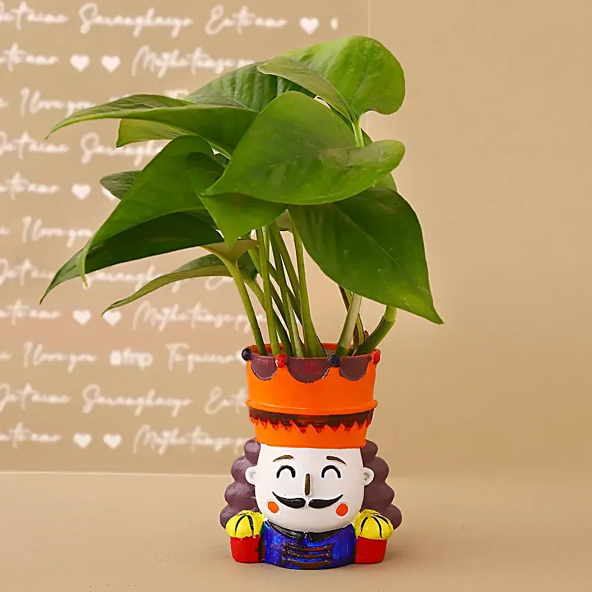 Money Plant King N Queen Pot Set Hand Delivery