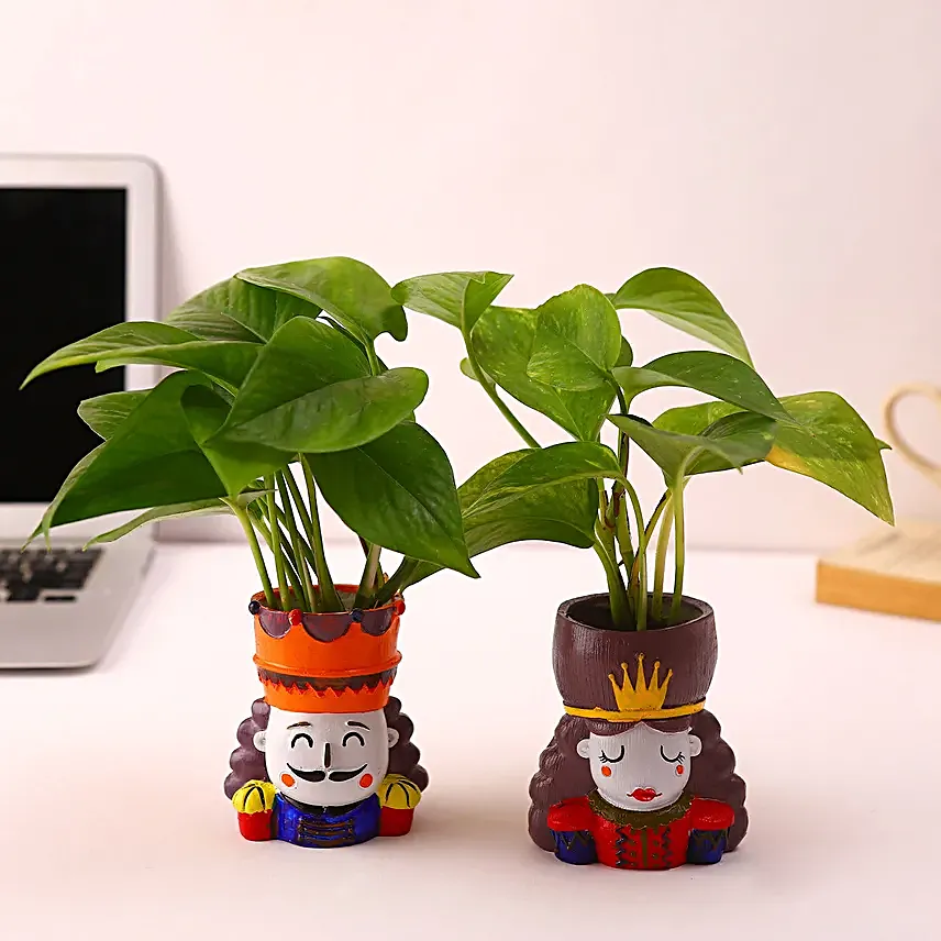 Money Plant King N Queen Pot Set Hand Delivery