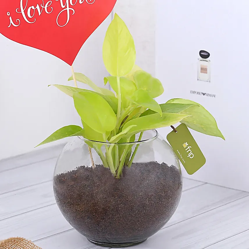 Plant with love Tag Online