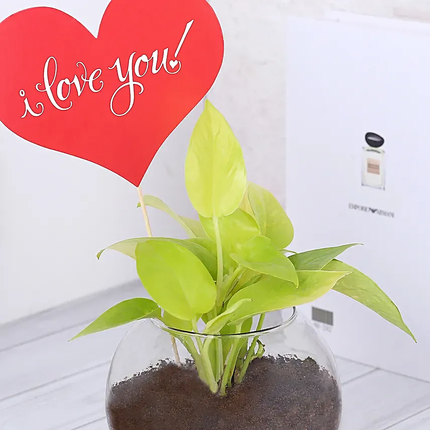 Plant with love Tag Online