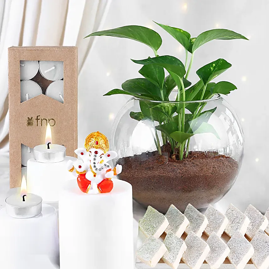 Money Plant Wishes For Diwali