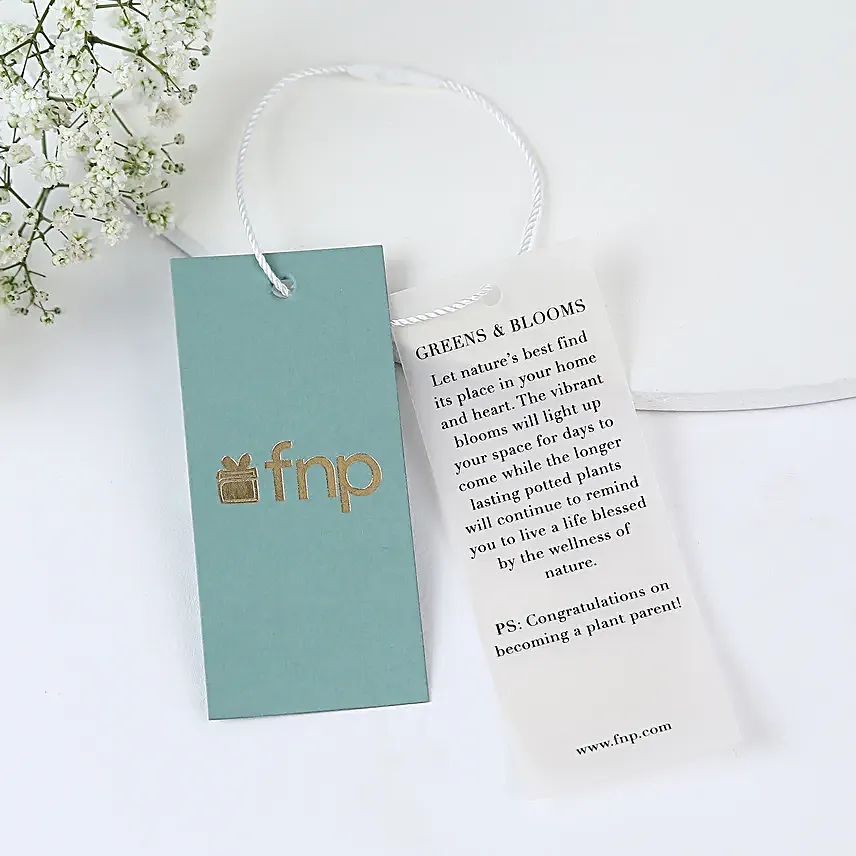 Mother Nature Gift Basket