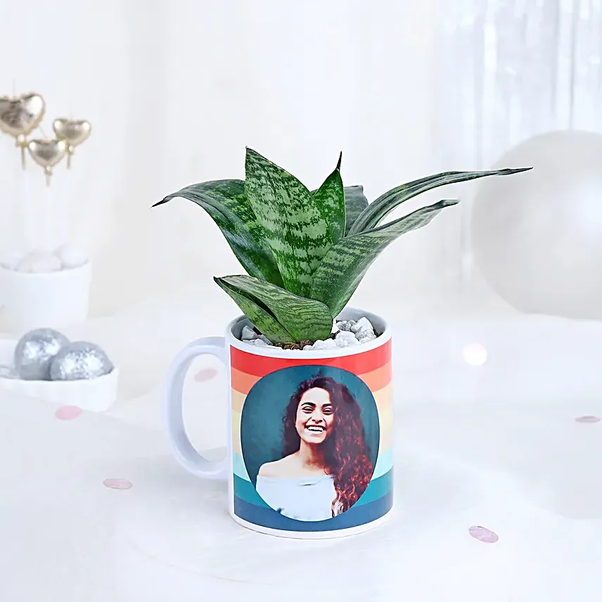 Mug of Serenity with Sansevieria
