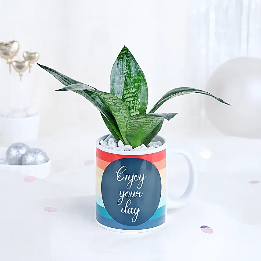 Mug of Serenity with Sansevieria