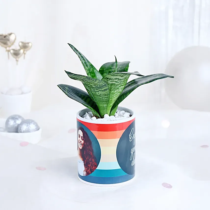 Mug of Serenity with Sansevieria