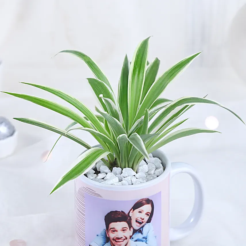 Mugful of Love Greens