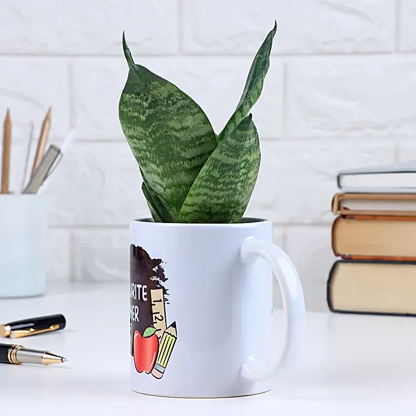 My Favourite Teacher Snake Plant Mug