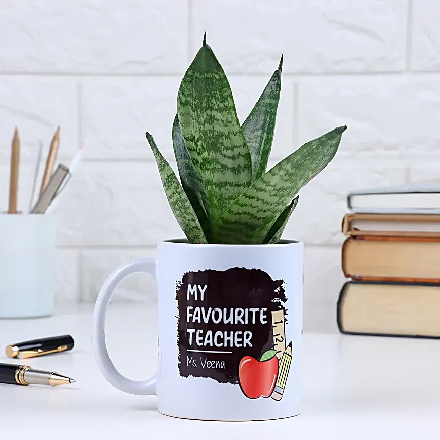 My Favourite Teacher Snake Plant Mug