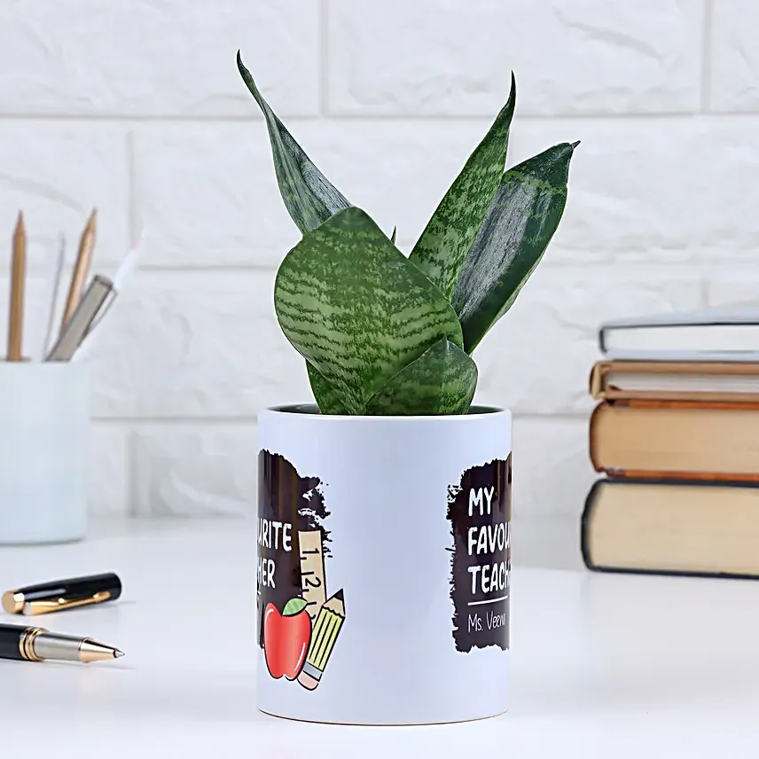 My Favourite Teacher Snake Plant Mug