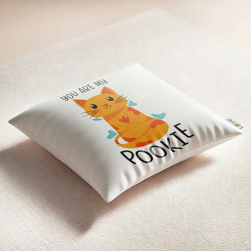My Pookie Cushion