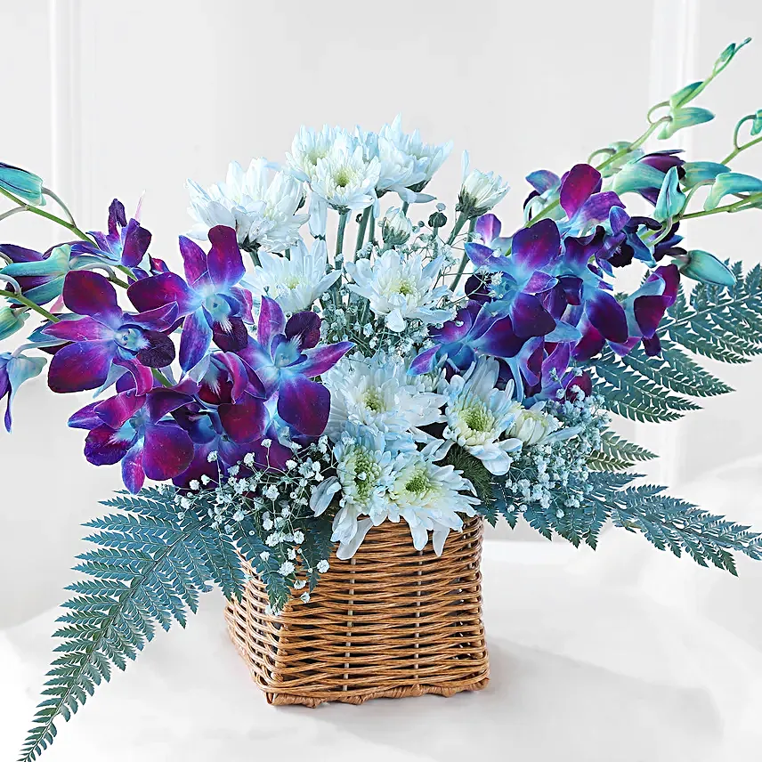Mythic Beauty Orchids N Daisies Basket
