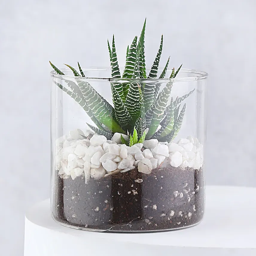 Natures Symphony Gift Box For Mom