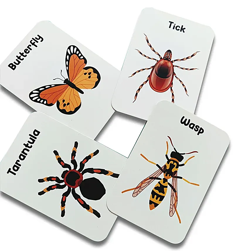 Natures Wonderland Flashcards Collection