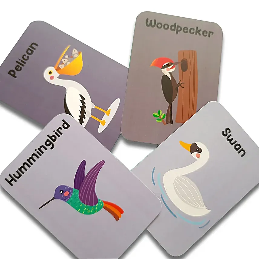 Natures Wonderland Flashcards Collection