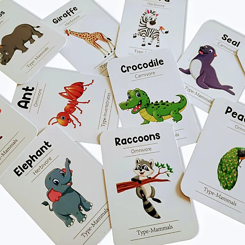 Natures Wonderland Flashcards Collection
