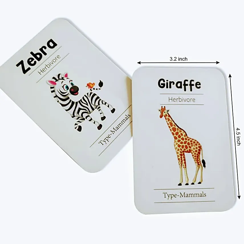 Natures Wonderland Flashcards Collection