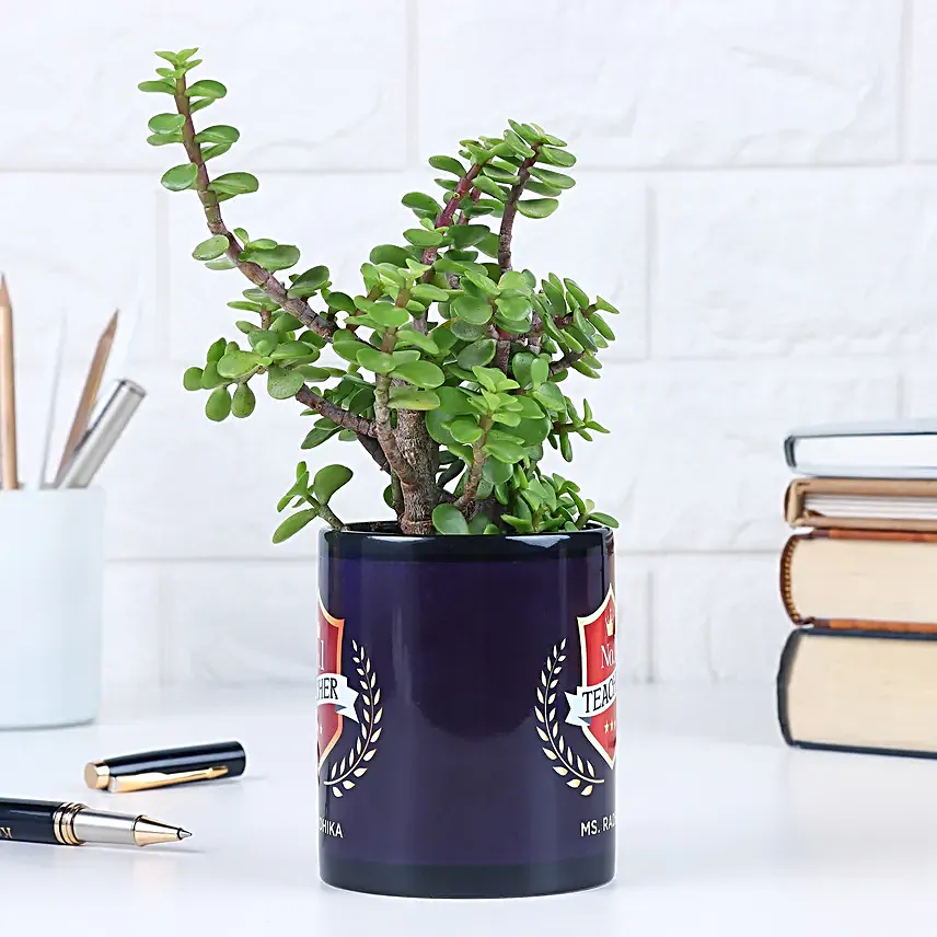 No 1 Teacher Jade Plant Mug