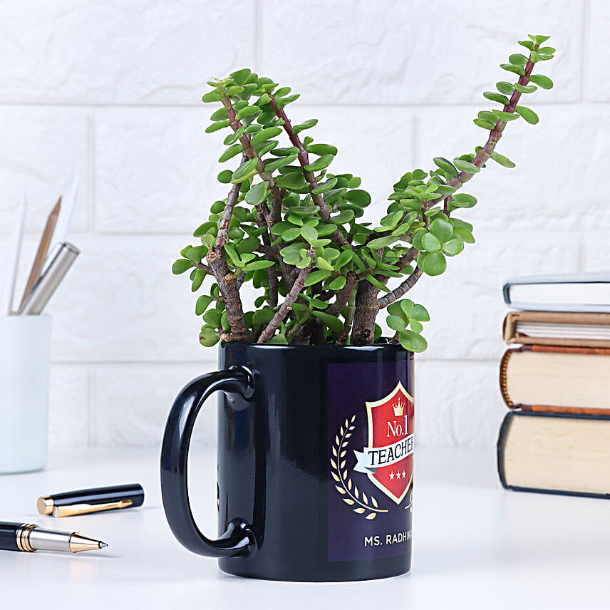No 1 Teacher Jade Plant Mug