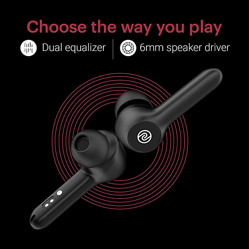Noise Buds VS201 Truly Wireless Earbuds