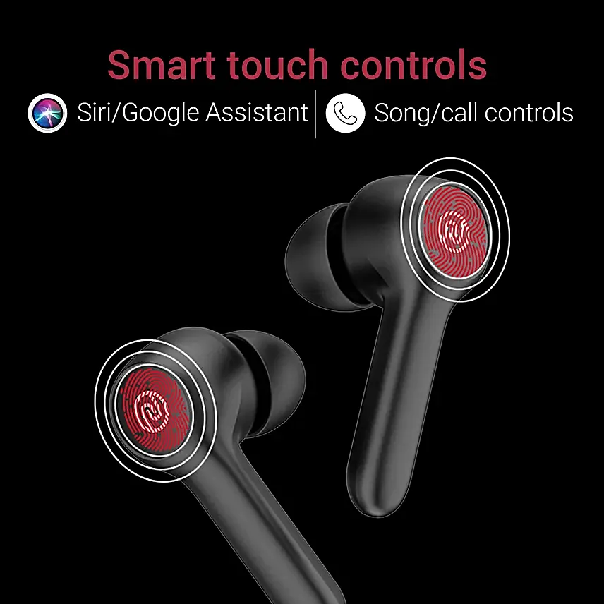 Noise Buds VS201 Truly Wireless Earbuds