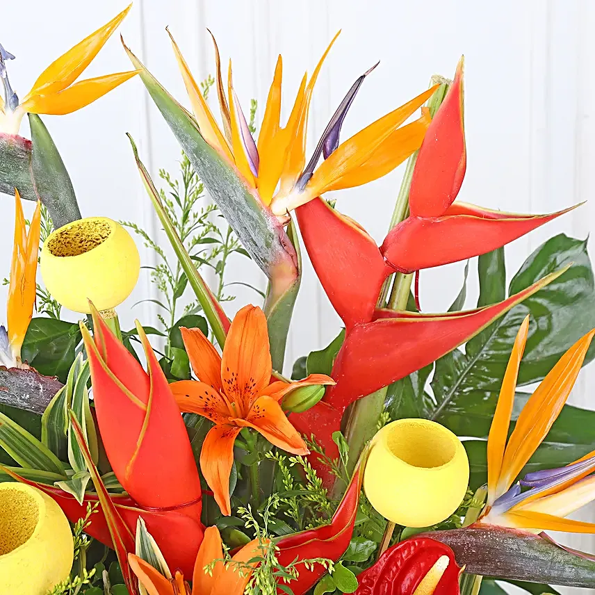 Orange Lily Blaze