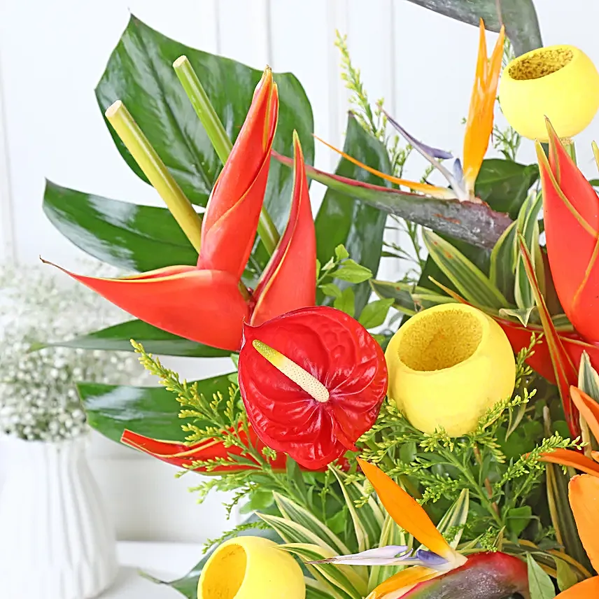 Orange Lily Blaze