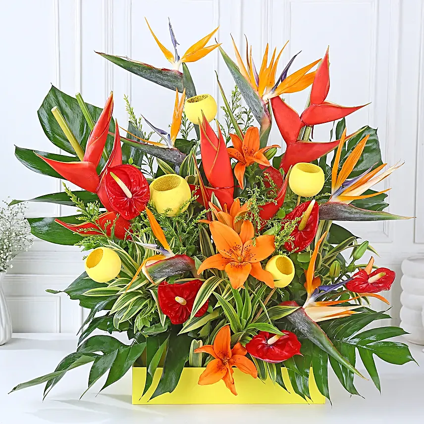 Orange Lily Blaze