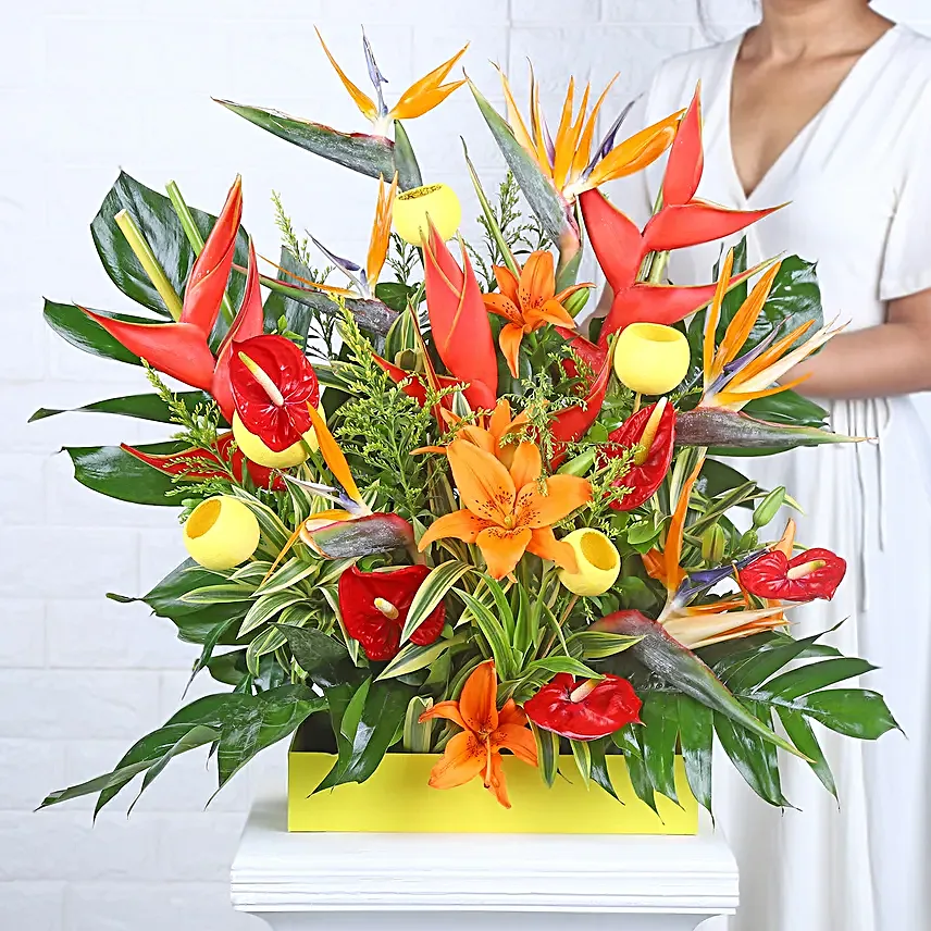 Orange Lily Blaze