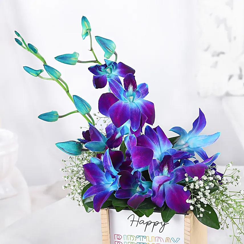Orchid Birthday Wishes In Table Organiser
