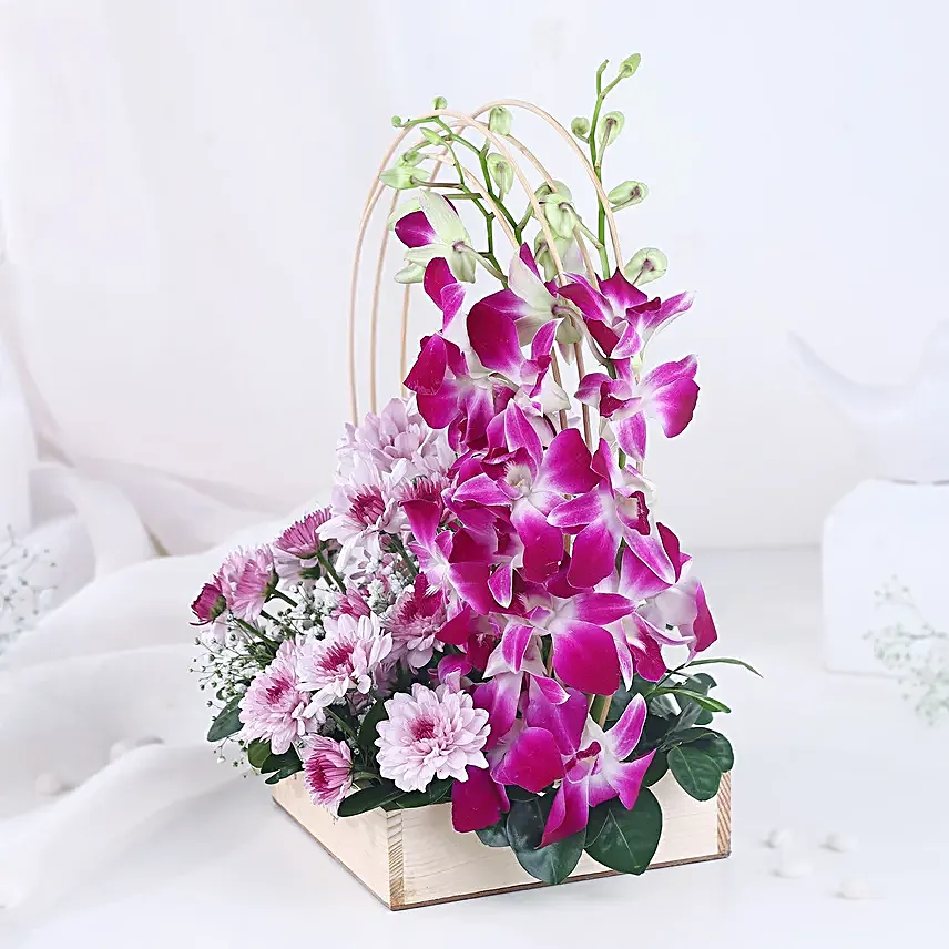 Orchid N Daisy Harmony for Mom