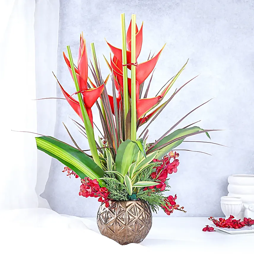 Orchid Serenity Arrangement