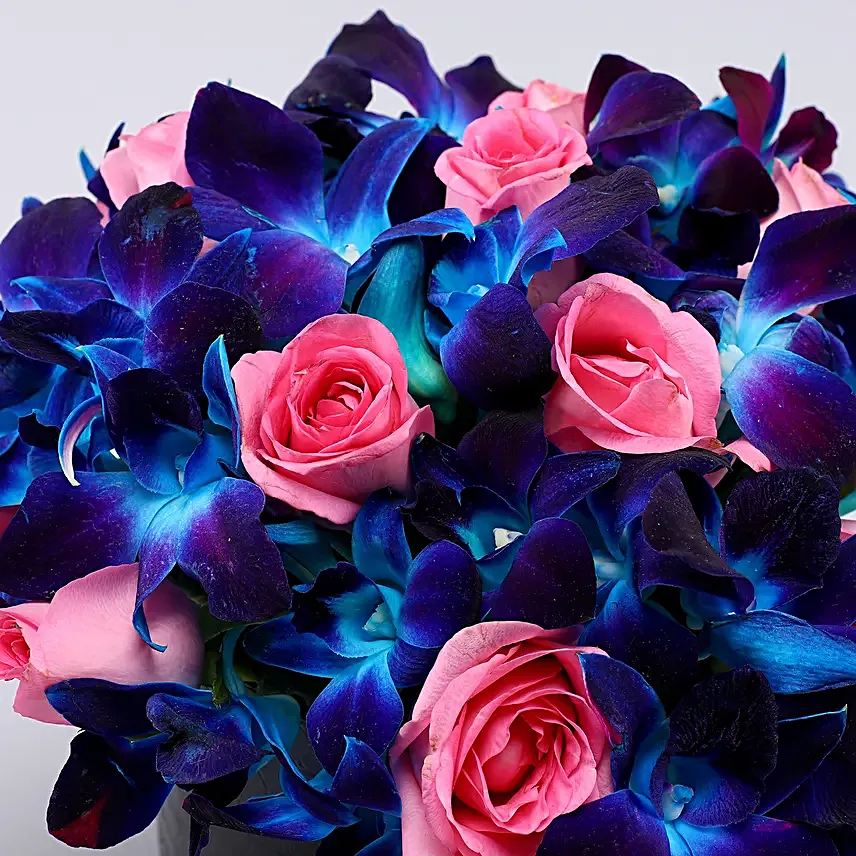 Orchids & Pink Roses In FNP Signature Box
