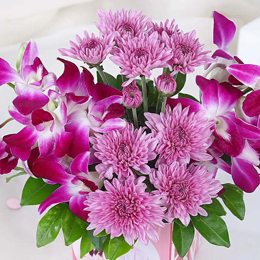 Orchids of Love