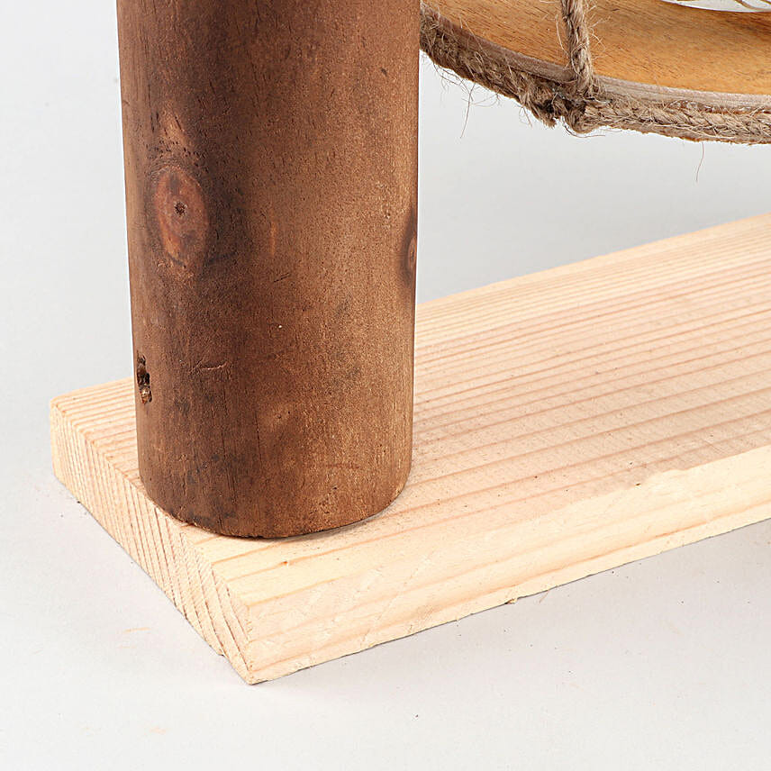 Pachira Bonsai Plant In Handmade Terracotta Pot